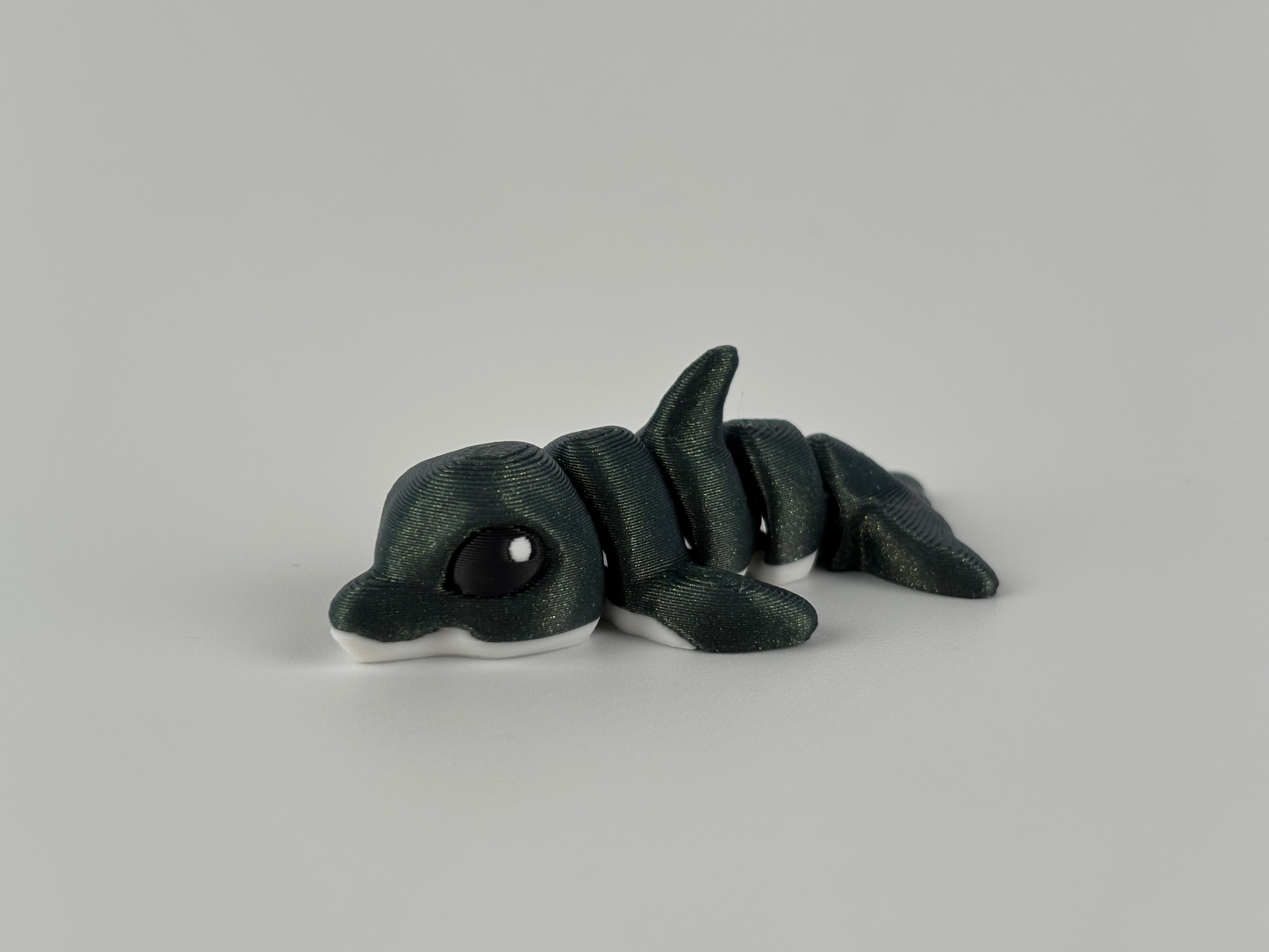 Mini Dolphin