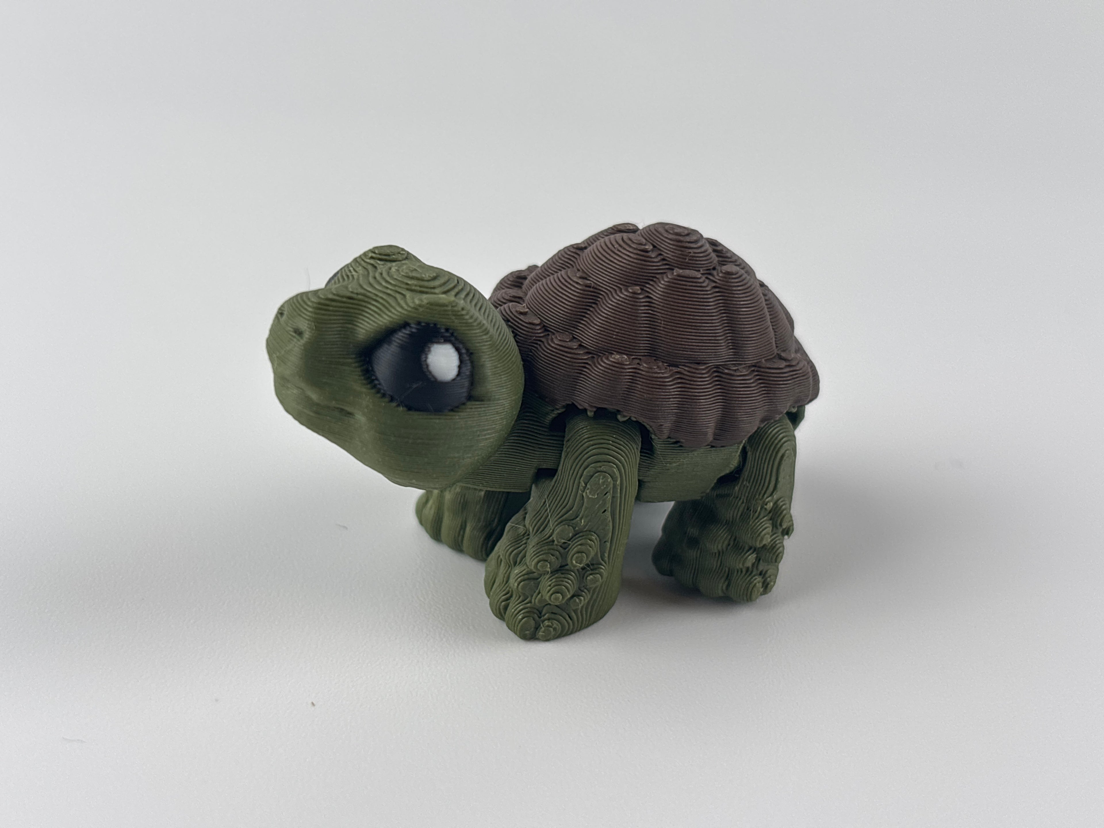 Mini Tortoise